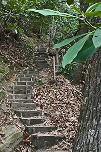 Steps to Foothills Trail