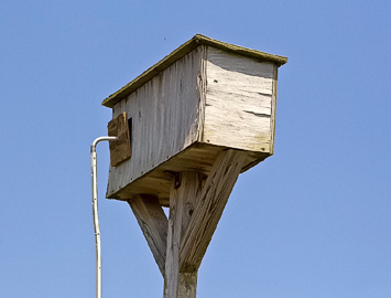 Barn Owl Box 2 - Larry Hitchens