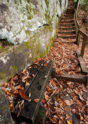 The Last Stairs to the Top of the Falls, South Mountians State Park