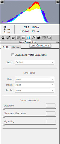 Lens Correction Tab