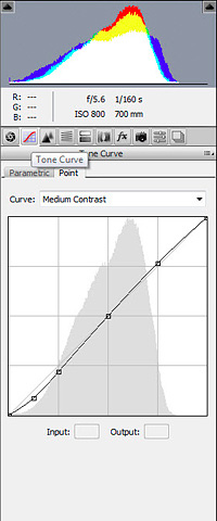 Tone Curve Tab